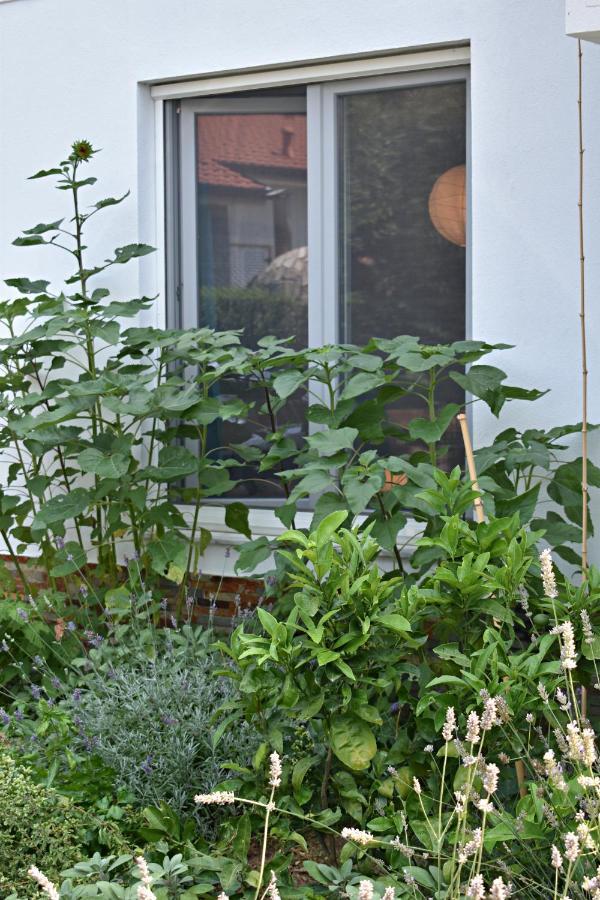 Postaja 33 Apartment Zgornje Skofije Exterior foto